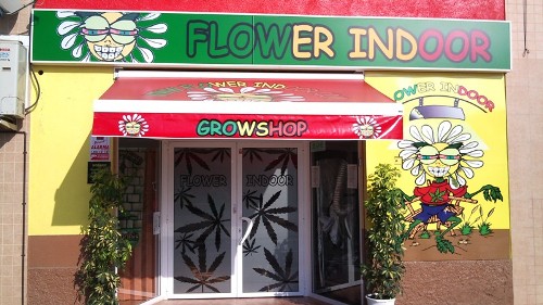 flower indoor Castellon