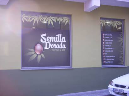 semilla dorada