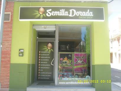 semilla dorada