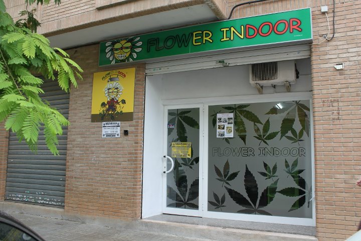 flower indoor Aldaia