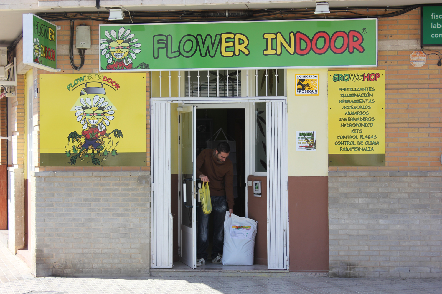 flower indoor Pobla Vallbona