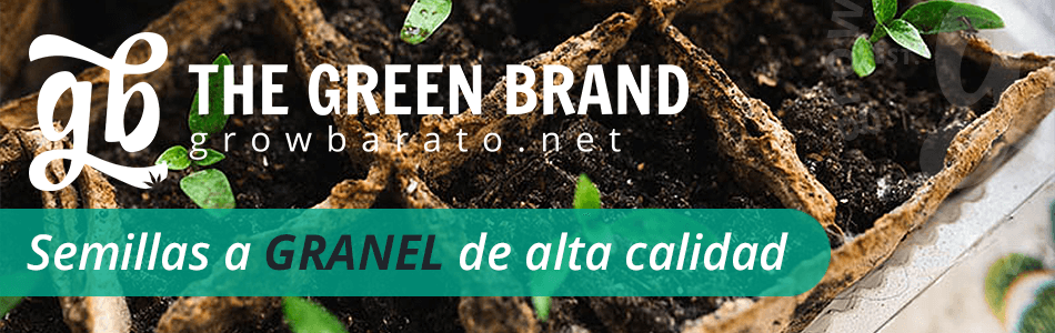 grow barato valencia